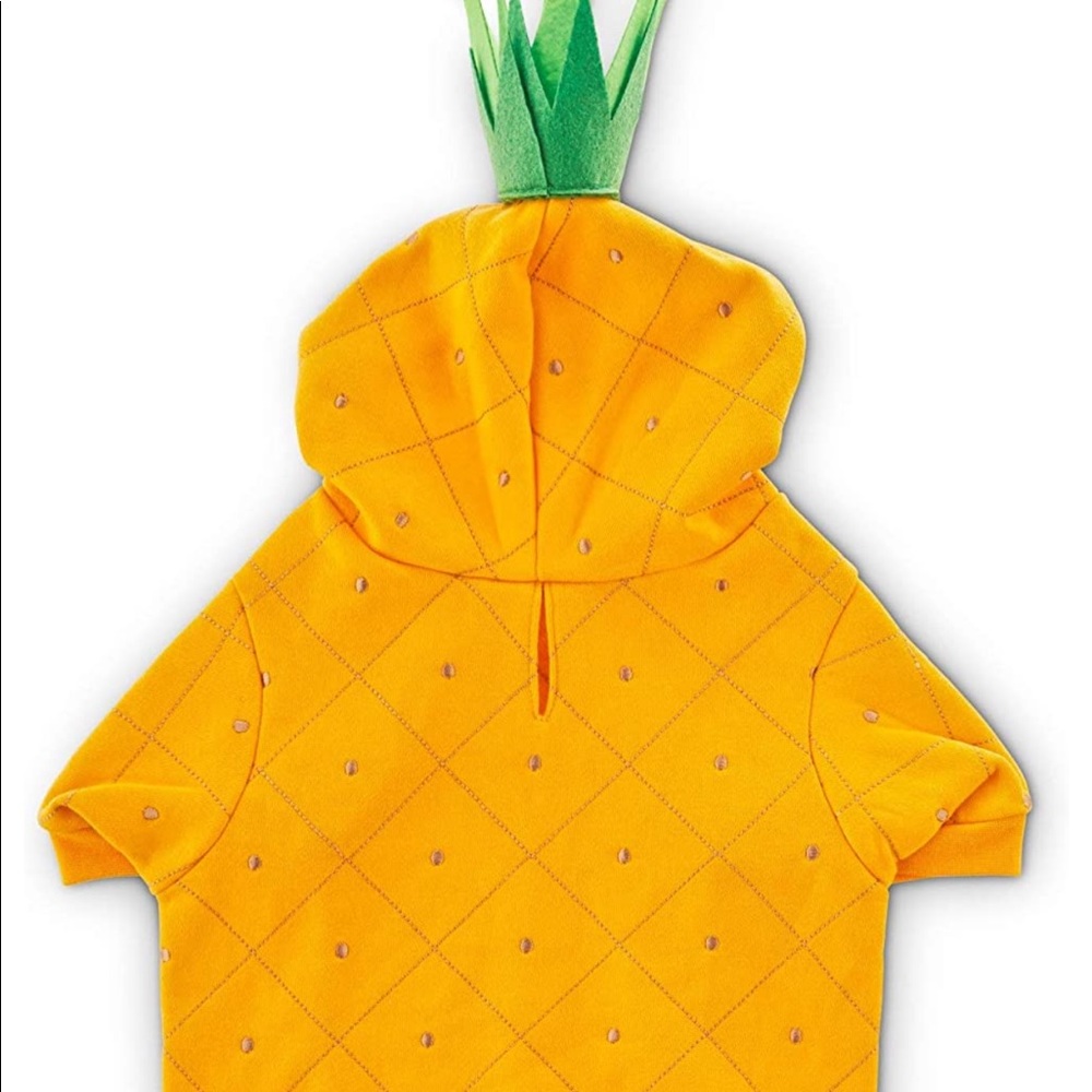 HP 2X π PINEAPPLE π PiΓ±a Colada DOG costume XS dress up - Picture 3 of 6